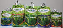 Load image into Gallery viewer, SDPMart Premium Sona Masoori Rice - 20 Lbs