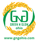 GNGOHIO gift card
